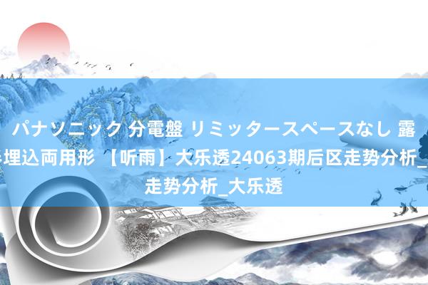 パナソニック 分電盤 リミッタースペースなし 露出・半埋込両用形 【听雨】大乐透24063期后区走势分析_大乐透