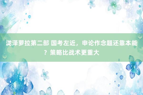 泷泽萝拉第二部 国考左近，申论作念题还靠本能？策略比战术更重大