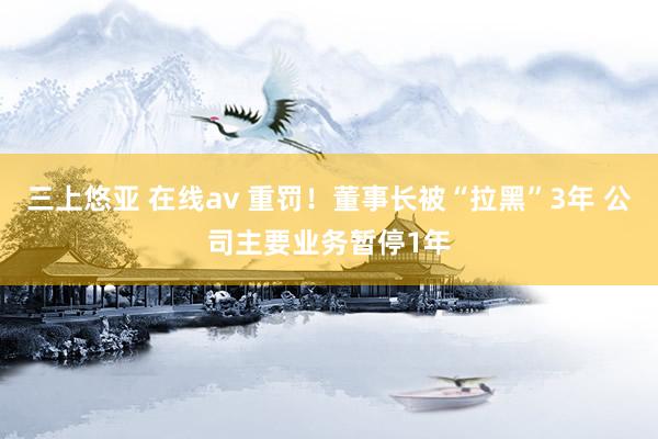 三上悠亚 在线av 重罚！董事长被“拉黑”3年 公司主要业务暂停1年