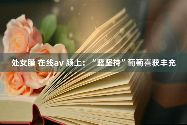 处女膜 在线av 颍上：“蓝坚持”葡萄喜获丰充