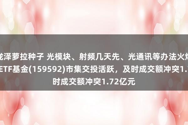 泷泽萝拉种子 光模块、射频几天先、光通讯等办法火爆，A50ETF基金(159592)市集交投活跃，及时成交额冲突1.72亿元