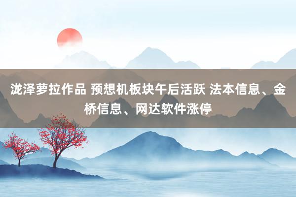 泷泽萝拉作品 预想机板块午后活跃 法本信息、金桥信息、网达软件涨停