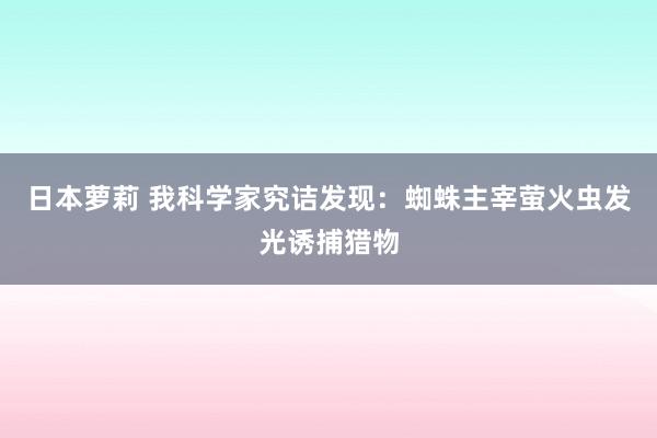 日本萝莉 我科学家究诘发现：蜘蛛主宰萤火虫发光诱捕猎物