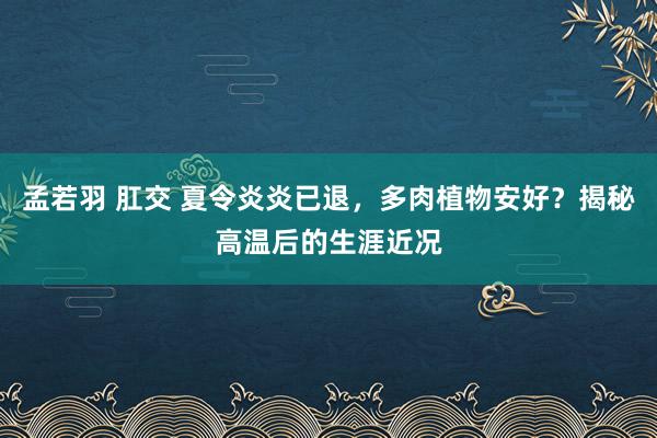 孟若羽 肛交 夏令炎炎已退，多肉植物安好？揭秘高温后的生涯近况