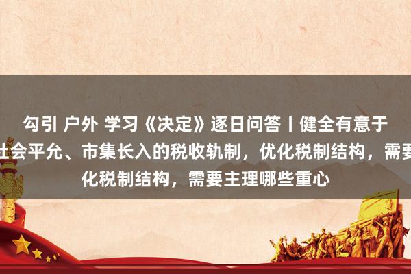 勾引 户外 学习《决定》逐日问答丨健全有意于高质料发展、社会平允、市集长入的税收轨制，优化税制结构，需要主理哪些重心