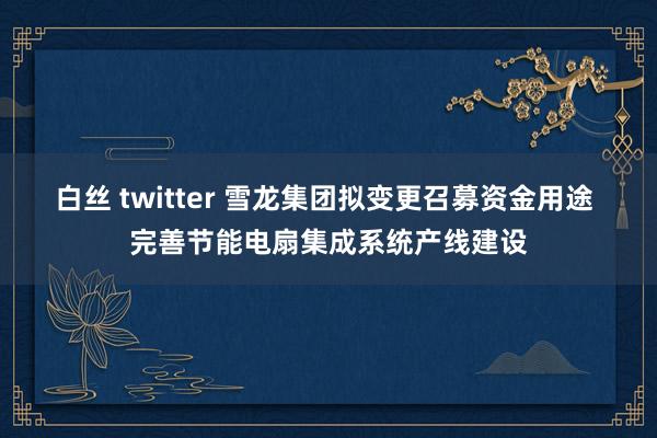 白丝 twitter 雪龙集团拟变更召募资金用途 完善节能电扇集成系统产线建设