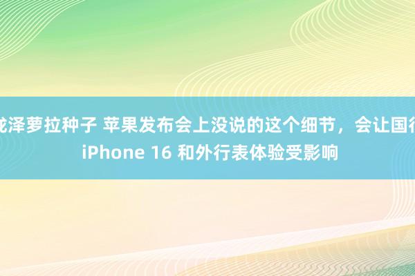 泷泽萝拉种子 苹果发布会上没说的这个细节，会让国行 iPhone 16 和外行表体验受影响