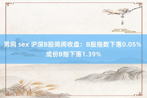 男同 sex 沪深B股阛阓收盘：B股指数下落0.05% 成份B指下落1.39%