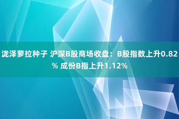 泷泽萝拉种子 沪深B股商场收盘：B股指数上升0.82% 成份B指上升1.12%