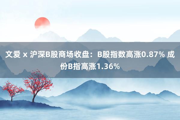 文爱 x 沪深B股商场收盘：B股指数高涨0.87% 成份B指高涨1.36%