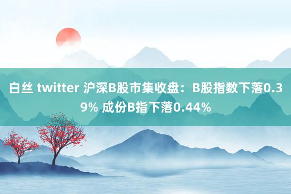 白丝 twitter 沪深B股市集收盘：B股指数下落0.39% 成份B指下落0.44%