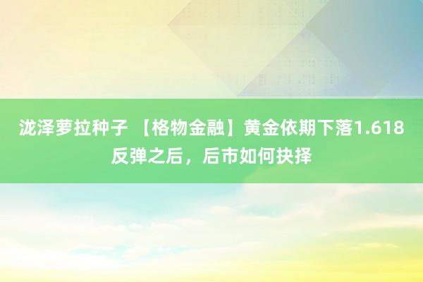 泷泽萝拉种子 【格物金融】黄金依期下落1.618反弹之后，后市如何抉择