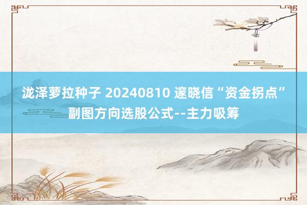 泷泽萝拉种子 20240810 邃晓信“资金拐点”副图方向选股公式--主力吸筹