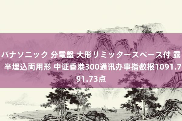 パナソニック 分電盤 大形リミッタースペース付 露出・半埋込両用形 中证香港300通讯办事指数报1091.73点