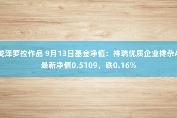 泷泽萝拉作品 9月13日基金净值：祥瑞优质企业搀杂A最新净值0.5109，跌0.16%