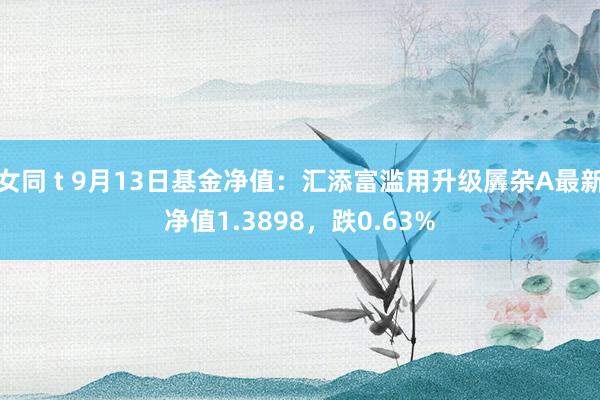 女同 t 9月13日基金净值：汇添富滥用升级羼杂A最新净值1.3898，跌0.63%