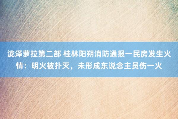 泷泽萝拉第二部 桂林阳朔消防通报一民房发生火情：明火被扑灭，未形成东说念主员伤一火