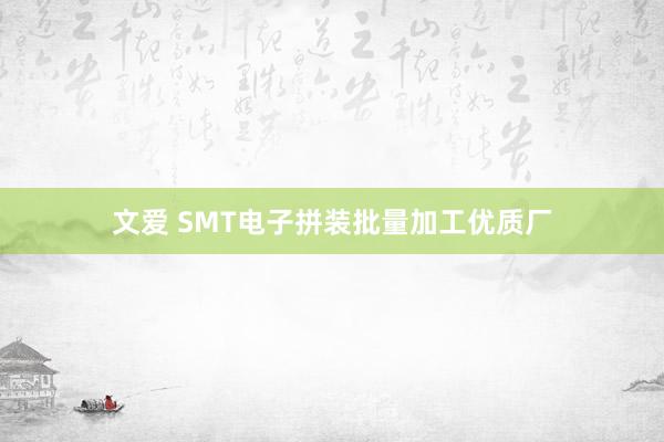 文爱 SMT电子拼装批量加工优质厂