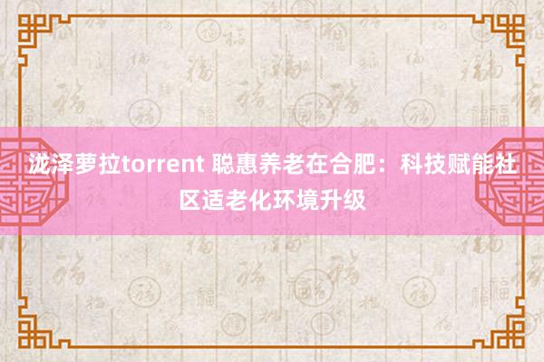 泷泽萝拉torrent 聪惠养老在合肥：科技赋能社区适老化环境升级