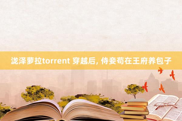 泷泽萝拉torrent 穿越后， 侍妾苟在王府养包子