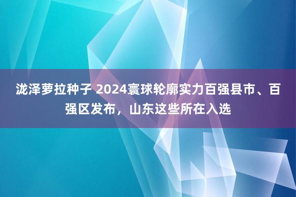 泷泽萝拉种子 2024寰球轮廓实力百强县市、百强区发布，山东这些所在入选