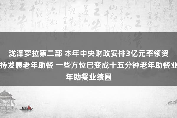 泷泽萝拉第二部 本年中央财政安排3亿元率领资金维持发展老年助餐 一些方位已变成十五分钟老年助餐业绩圈