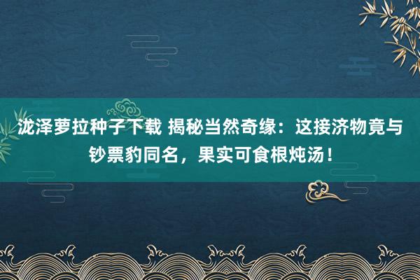 泷泽萝拉种子下载 揭秘当然奇缘：这接济物竟与钞票豹同名，果实可食根炖汤！