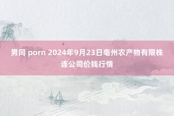 男同 porn 2024年9月23日亳州农产物有限株连公司价钱行情