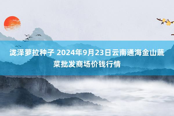 泷泽萝拉种子 2024年9月23日云南通海金山蔬菜批发商场价钱行情