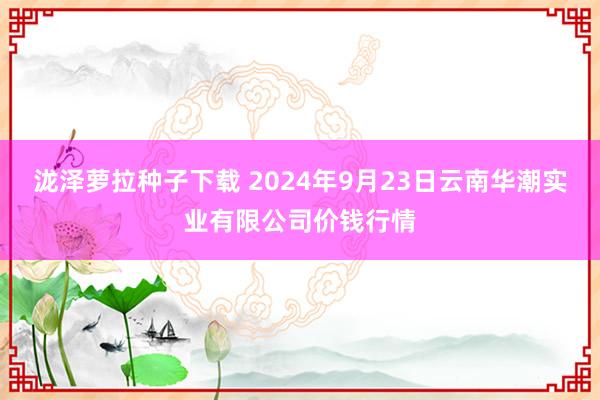 泷泽萝拉种子下载 2024年9月23日云南华潮实业有限公司价钱行情