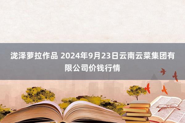 泷泽萝拉作品 2024年9月23日云南云菜集团有限公司价钱行情