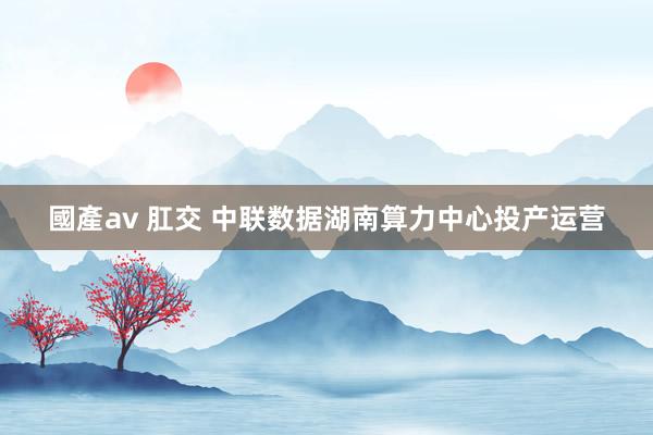 國產av 肛交 中联数据湖南算力中心投产运营