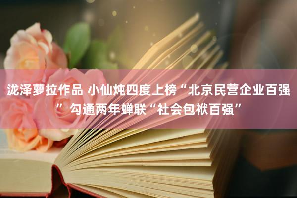 泷泽萝拉作品 小仙炖四度上榜“北京民营企业百强” 勾通两年蝉联“社会包袱百强”