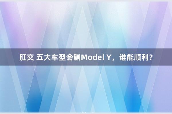 肛交 五大车型会剿Model Y，谁能顺利？