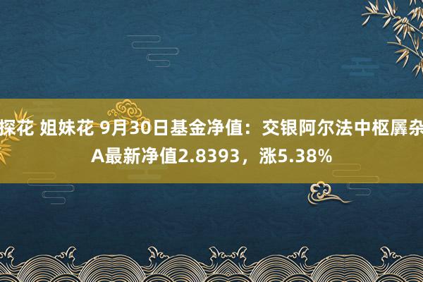 探花 姐妹花 9月30日基金净值：交银阿尔法中枢羼杂A最新净值2.8393，涨5.38%