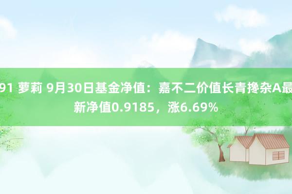 91 萝莉 9月30日基金净值：嘉不二价值长青搀杂A最新净值0.9185，涨6.69%