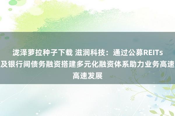 泷泽萝拉种子下载 滋润科技：通过公募REITs样式及银行间债务融资搭建多元化融资体系助力业务高速发展