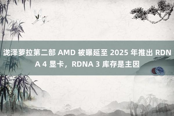 泷泽萝拉第二部 AMD 被曝延至 2025 年推出 RDNA 4 显卡，RDNA 3 库存是主因