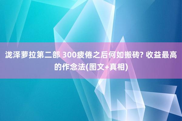 泷泽萝拉第二部 300疲倦之后何如搬砖? 收益最高的作念法(图文+真相)