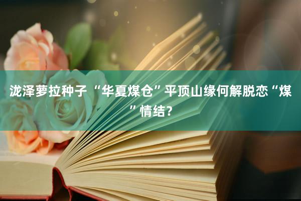 泷泽萝拉种子 “华夏煤仓”平顶山缘何解脱恋“煤”情结？