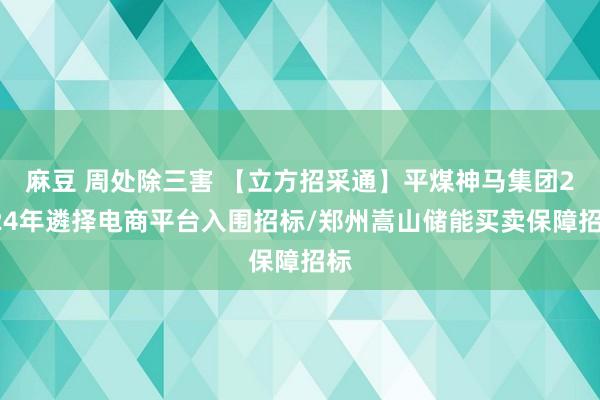 麻豆 周处除三害 【立方招采通】平煤神马集团2024年遴择电商平台入围招标/郑州嵩山储能买卖保障招标