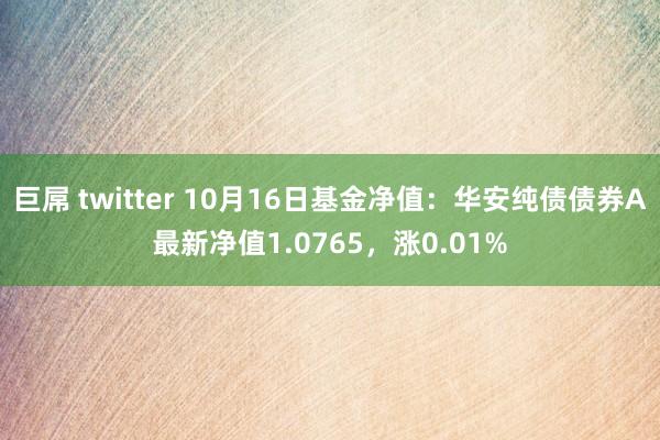 巨屌 twitter 10月16日基金净值：华安纯债债券A最新净值1.0765，涨0.01%