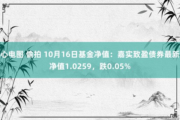 心电图 偷拍 10月16日基金净值：嘉实致盈债券最新净值1.0259，跌0.05%