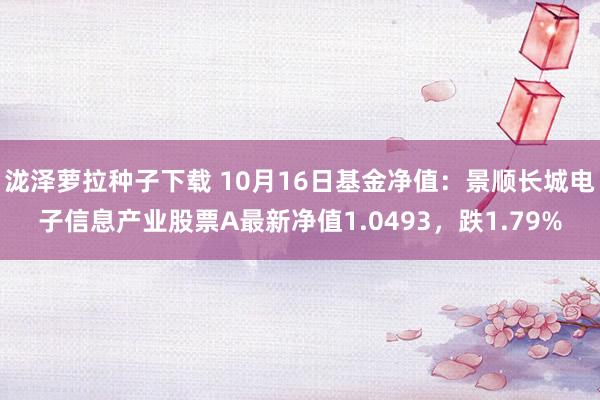 泷泽萝拉种子下载 10月16日基金净值：景顺长城电子信息产业股票A最新净值1.0493，跌1.79%