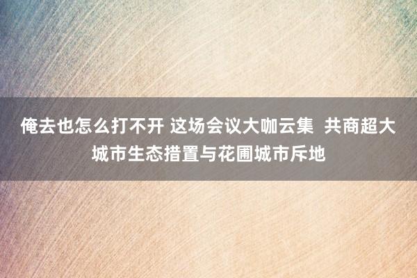 俺去也怎么打不开 这场会议大咖云集  共商超大城市生态措置与花圃城市斥地