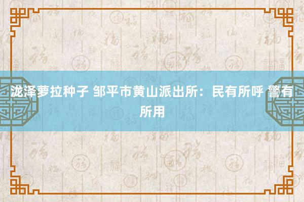 泷泽萝拉种子 邹平市黄山派出所：民有所呼 警有所用