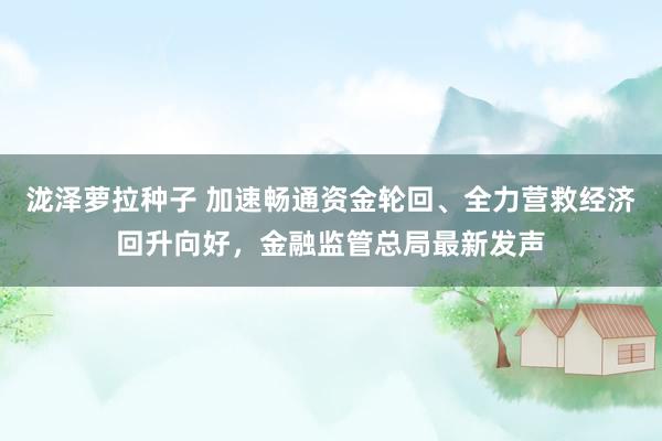 泷泽萝拉种子 加速畅通资金轮回、全力营救经济回升向好，金融监管总局最新发声