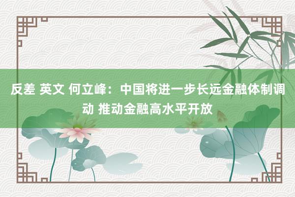 反差 英文 何立峰：中国将进一步长远金融体制调动 推动金融高水平开放