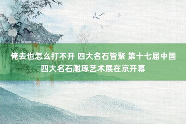 俺去也怎么打不开 四大名石皆聚 第十七届中国四大名石雕琢艺术展在京开幕