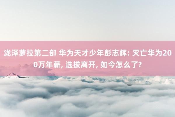 泷泽萝拉第二部 华为天才少年彭志辉: 灭亡华为200万年薪， 选拔离开， 如今怎么了?